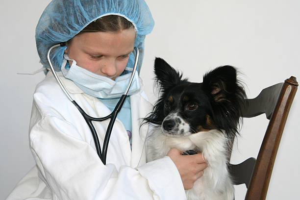 Pet Wellness at Its Best: The Bannon Woods Veterinary Hospital Experience