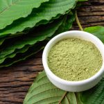 How to Choose the Right Kratom Vendor Online