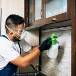 Mastering Bedbug Control: Sydney’s Definitive Resource